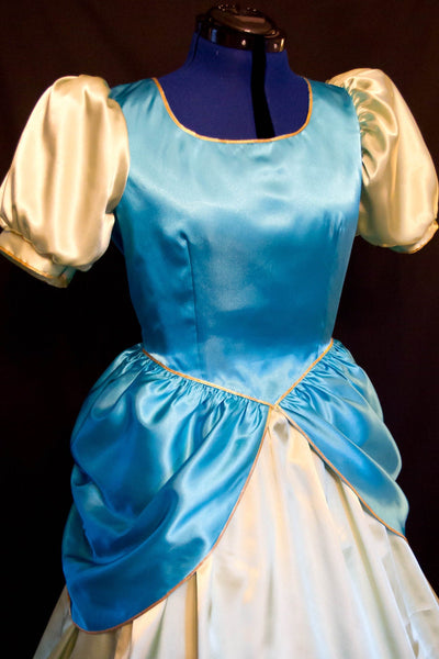 DRIZELLA Cinderella's STEPSISTER Adult Costume Gown Custom Cosplay