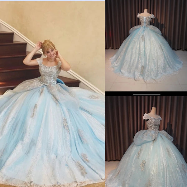 Adult Cinderella costume Sparkly Cinderella adult Cinderella Costume Princess