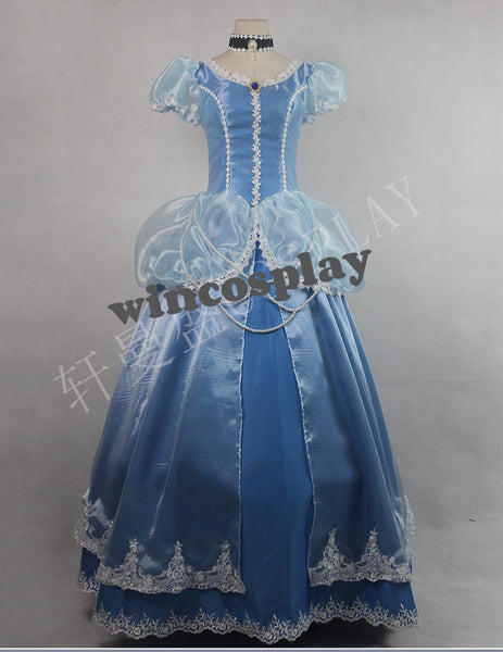 Cinderella Blue Dress Adult Kids Halloween Costume