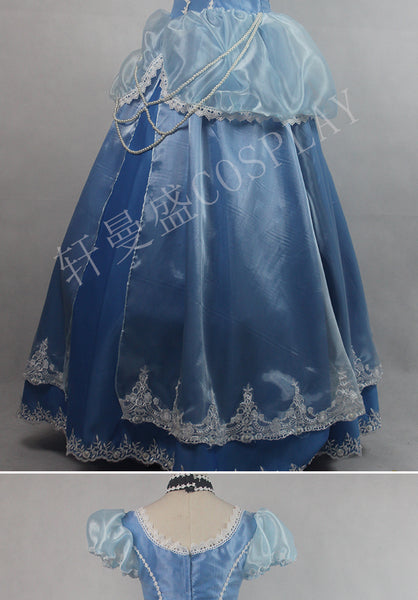 Cinderella Blue Dress Adult Kids Halloween Costume