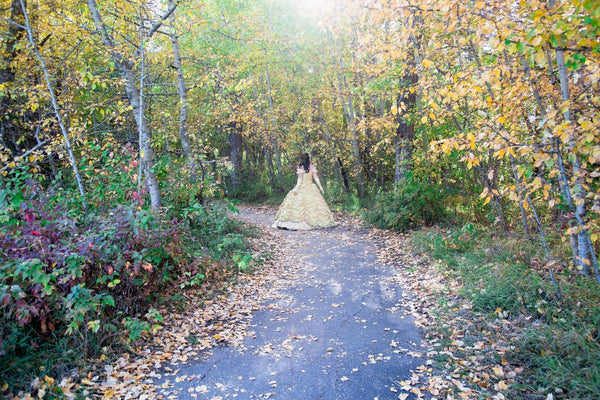 Belle Gown Custom made Beauty and the Beast dress