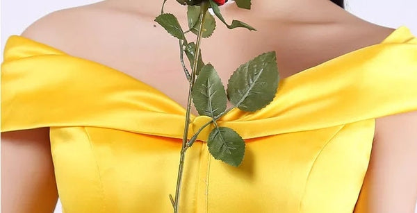 Belle Beauty The Beast Dress