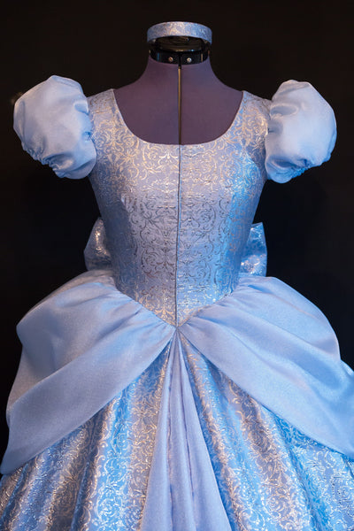 Cinderella GOWN Costume DELUXE Adult Version NEW Fabric Custom Cosplay