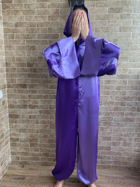 Collector Owl house costume