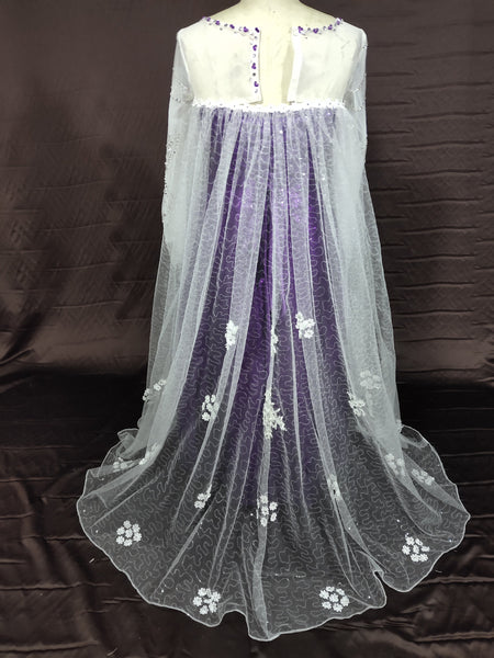 Elsa Costume