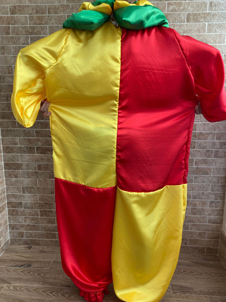Killer clown Outer Space costume