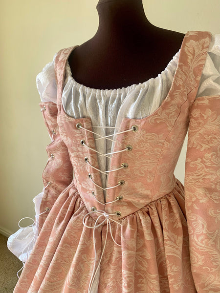 Renaissance Over Gown Dress