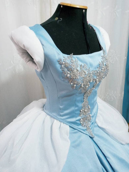 Cosplay Princess Cinderella dress costume princess Dress adult MADE to ORDER hoopskirt