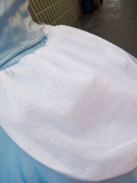 Cosplay Princess Cinderella dress costume princess Dress adult MADE to ORDER hoopskirt