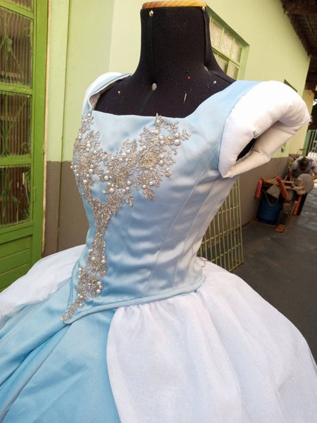 Cosplay Princess Cinderella dress costume princess Dress adult MADE to ORDER hoopskirt