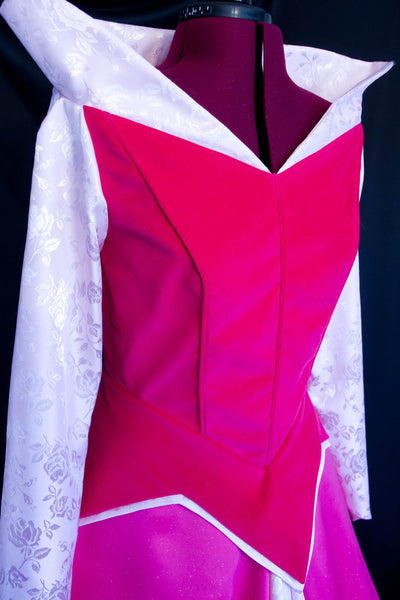 STUNNING ADULT Sleeping Beauty Aurora Costume Brocade Velveteen GOWN Custom Cosplay