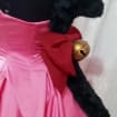 Cosplay Tokyo mew mew Ichigo Momomiya costume adult pink dress tail and ears MADE to ORDER magical girls