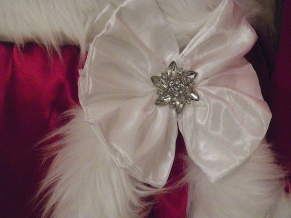 White Christmas Carolers Dickens Victorian Dress