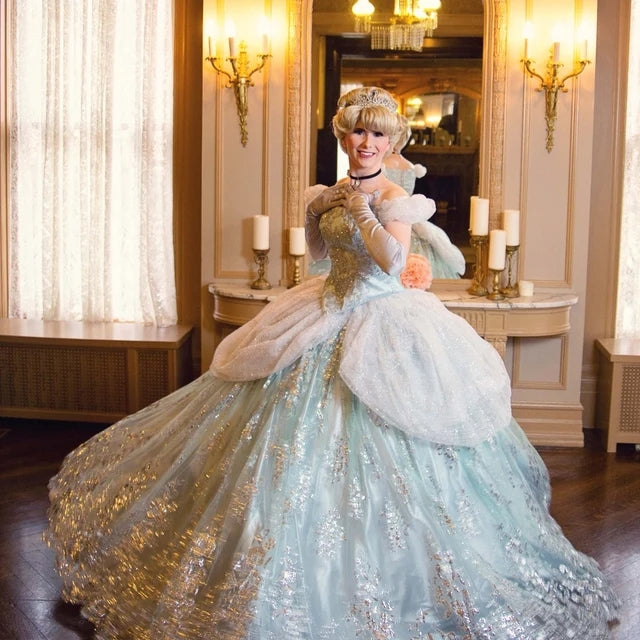 adult princess dresses Silver Sparkly Cinderella Cinderella Adult Princess Costume Cosplay In –  Mermaidcosplay