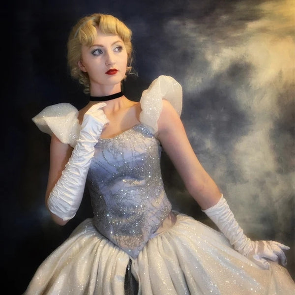 Silver Sparkly Cinderella Cinderella Adult Princess Costume Cosplay Inspired Costume
