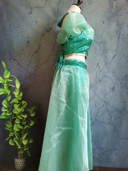 Inspired Jasmine Costume Classic Outfit