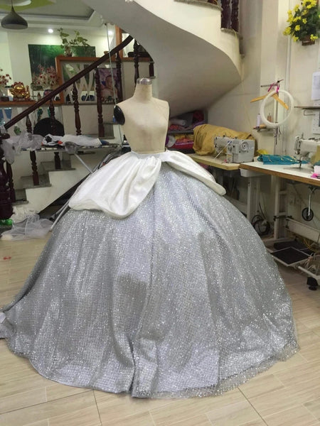 Silver Sparkly Cinderella Cinderella Adult Princess Costume Cosplay Inspired Costume