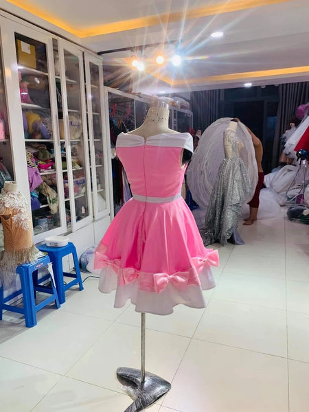 Cinderella pink Dress Cinderella dress Inspired dapper day