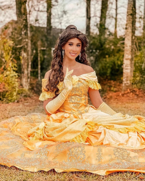 Sparkly Belle Costume Beauty and the Beast Inspired