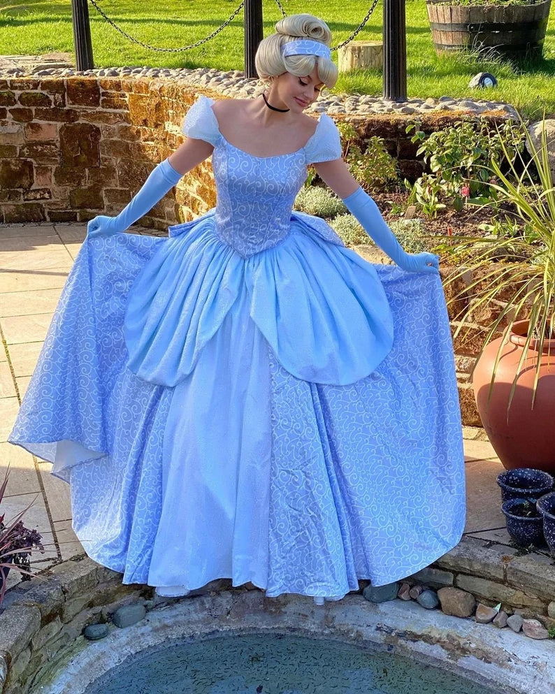 Cinderella Park Inspired Cinderella Adult Costume Cosplay DRess Ballgo – Mermaidcosplay