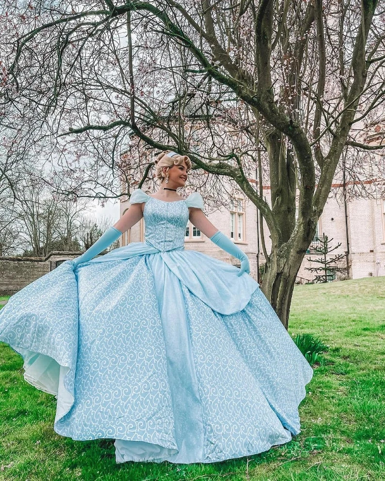 Cinderella Park Inspired Cinderella Adult Costume Cosplay DRess Ballgo Mermaidcosplay Cinderella Park Inspired Cinderella Adult Costume Cosplay DRess Ballgo Mermaidcosplay